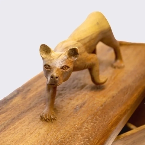 close-up view of the box