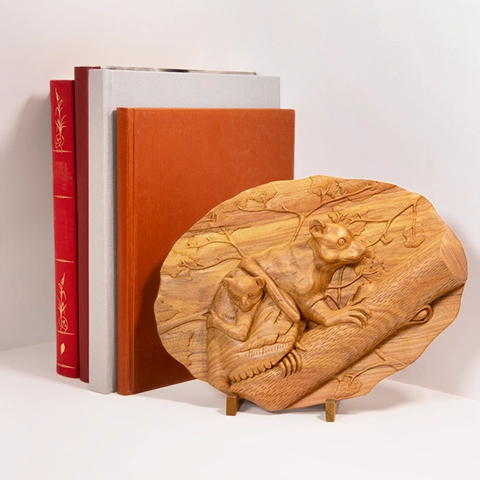 Elegant shelf decoration: a carved wooden panel depicting the wildlife of Madagascar, displayed on a wooden stand next to books