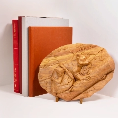 Elegant shelf decoration: a carved wooden panel depicting the wildlife of Madagascar, displayed on a wooden stand next to books