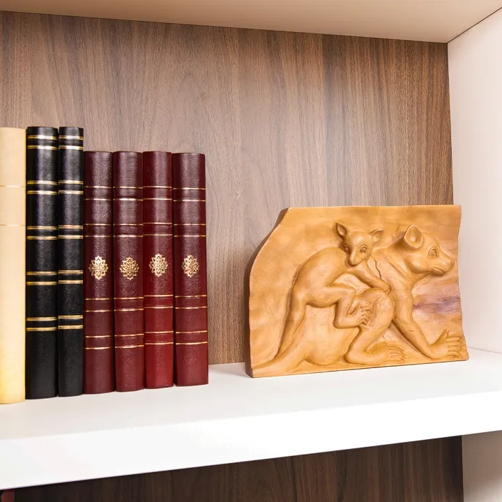 Luxury bookshelf decor: Artisan wooden relief plaque of a lemur mother and baby displayed next to classic leather-bound books.