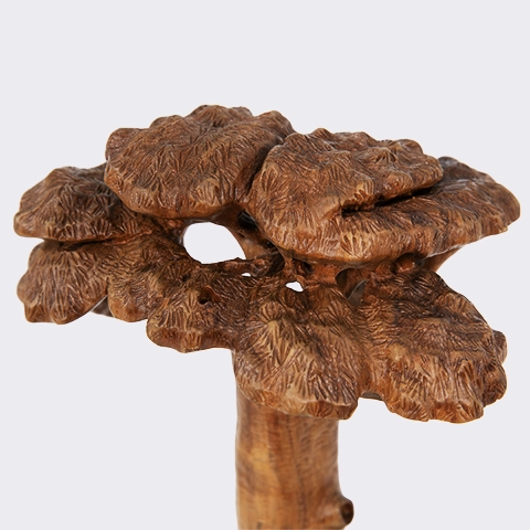 Detailed close-up of the hand-carved canopy of a wooden baobab tree showing the texture of the leaves and the craftsmanship, highlighting the meticulous work of the carving, the finish and the refined details.