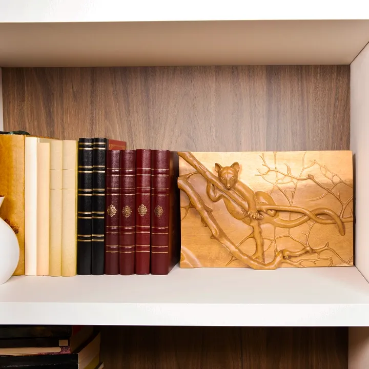 A refined work of animal art from Madagascar: a hand-crafted wooden bas-relief panel depicting a fossa