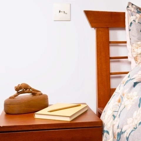 Elegant bedside decoration: Handcrafted wooden jewelry box, adorned with a chameleon sculpture..