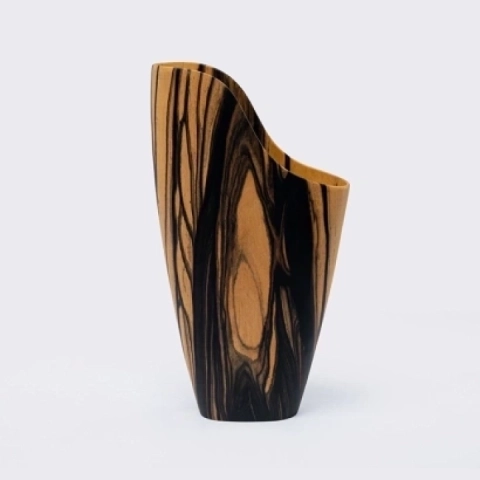 Studio shot of the vase