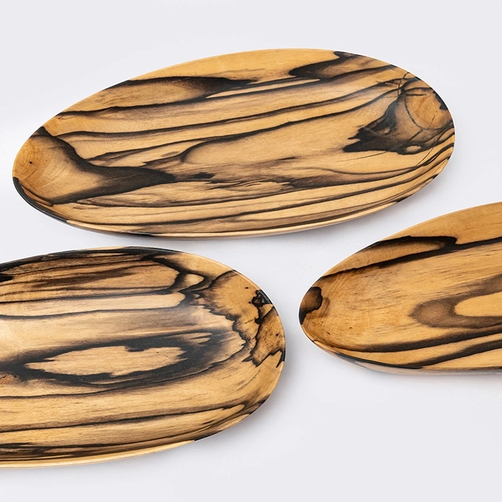 Rotating view highlighting the plate's features.