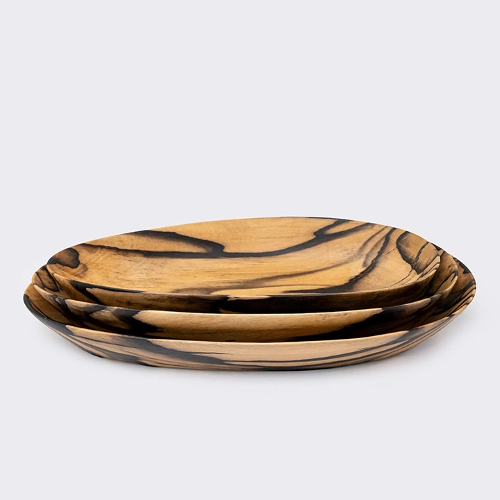 Rotating view highlighting the plate's features.