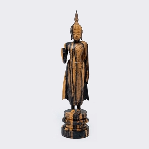 Studio picture of the standing buddha