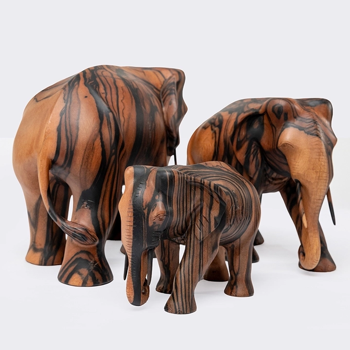 Studio shot of the Elephant