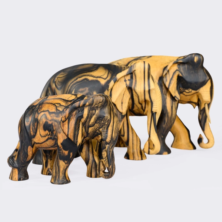 Close-up view of the Elephant's details.