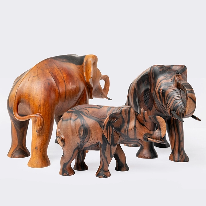 Studio shot of Tusker.