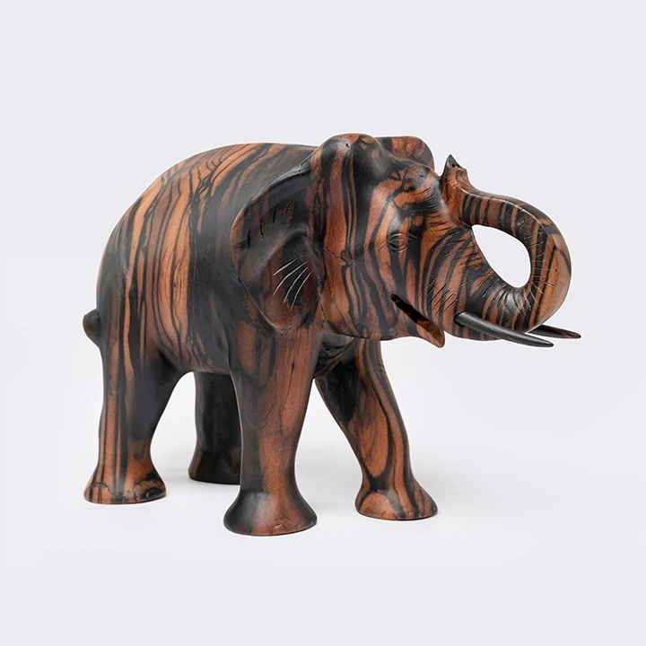 Studio shot of Tusker.