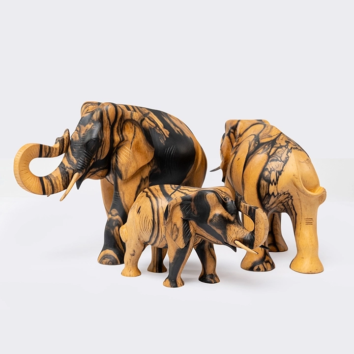 Studio shot of Tusker.