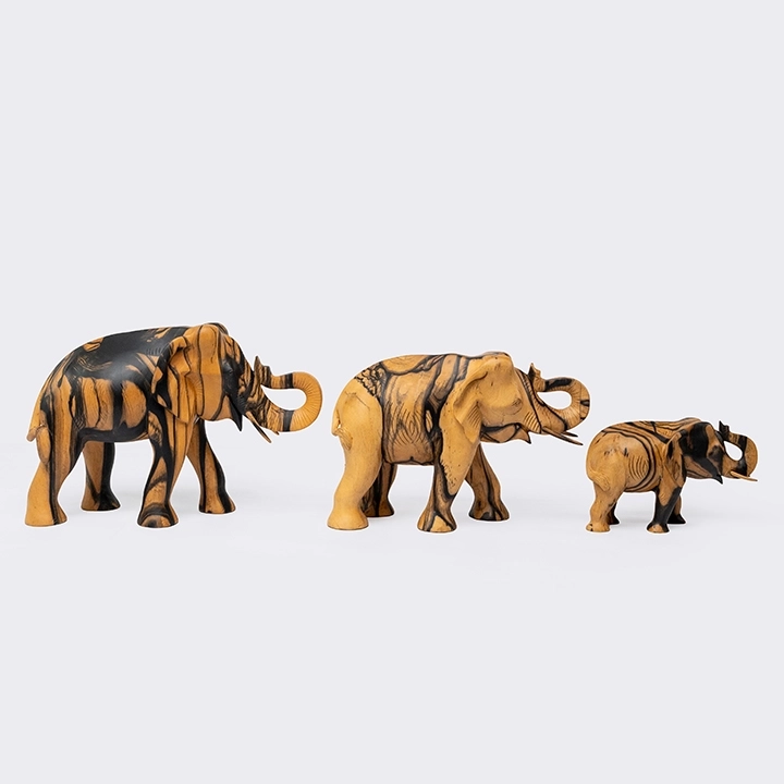 Studio shot featuring a set of Tusker.