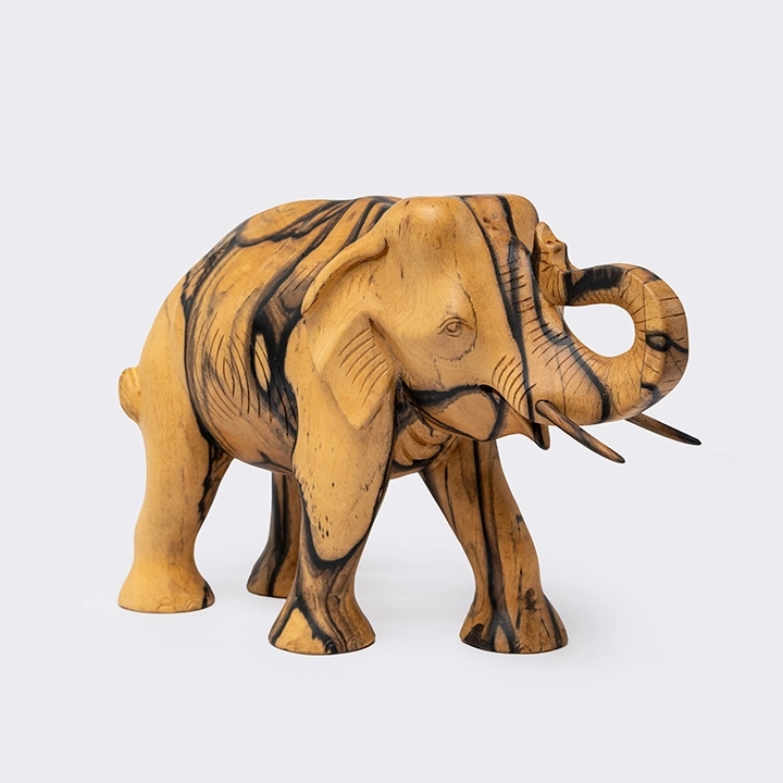 Studio shot of tusker.