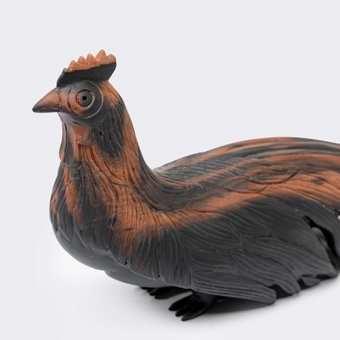 Detail studio picture of the Peacock