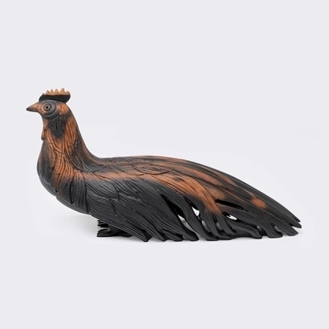 Studio picture of the Peacock