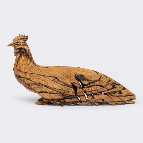 Studio picture of the Peacock