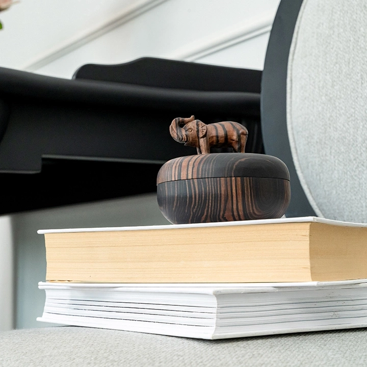 Studio shot of the box