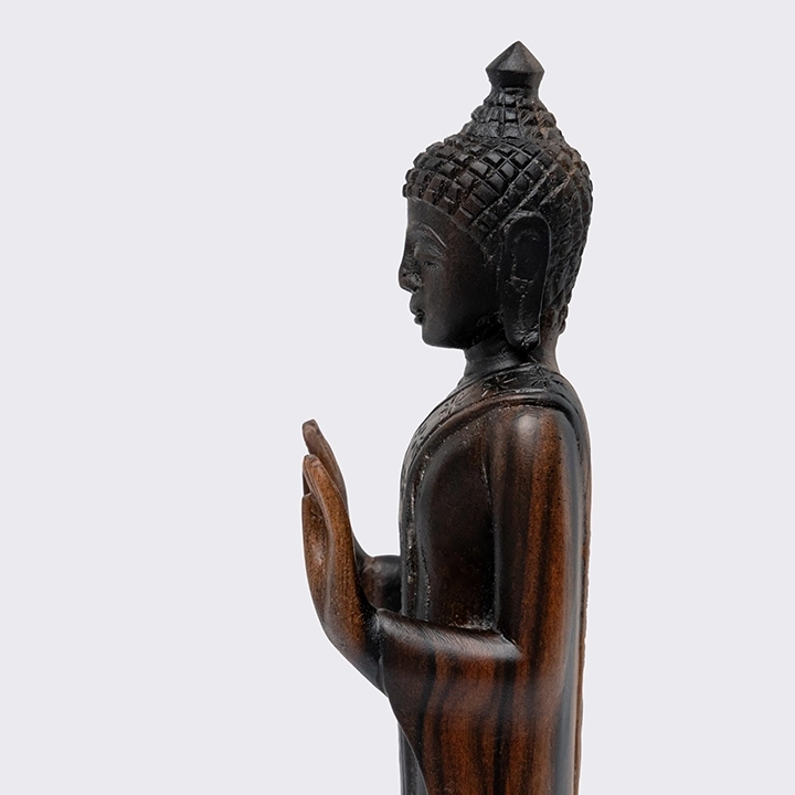 Detail Picture of the Buddha 