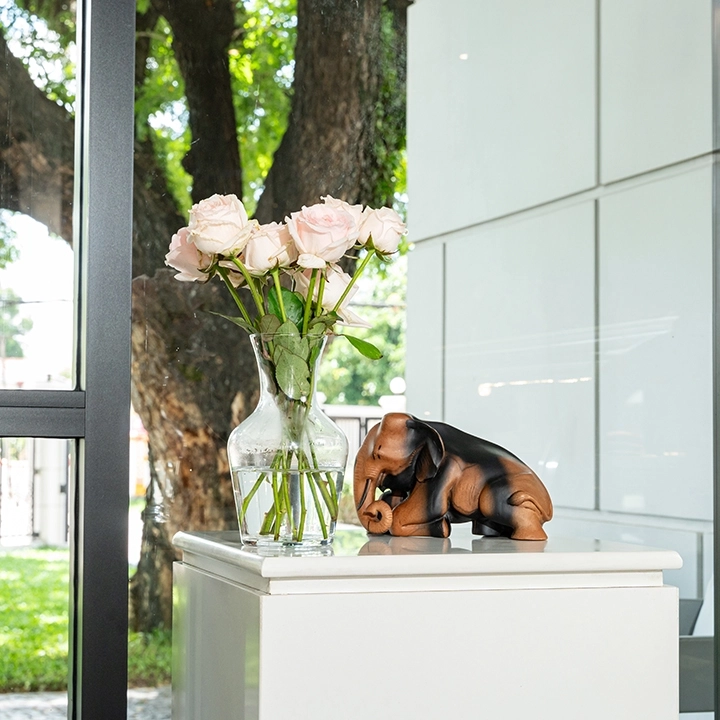 Picture in situ of the Reclining Elephant