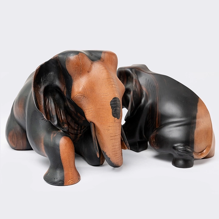 Studio picture of the  Reclining Elephant 