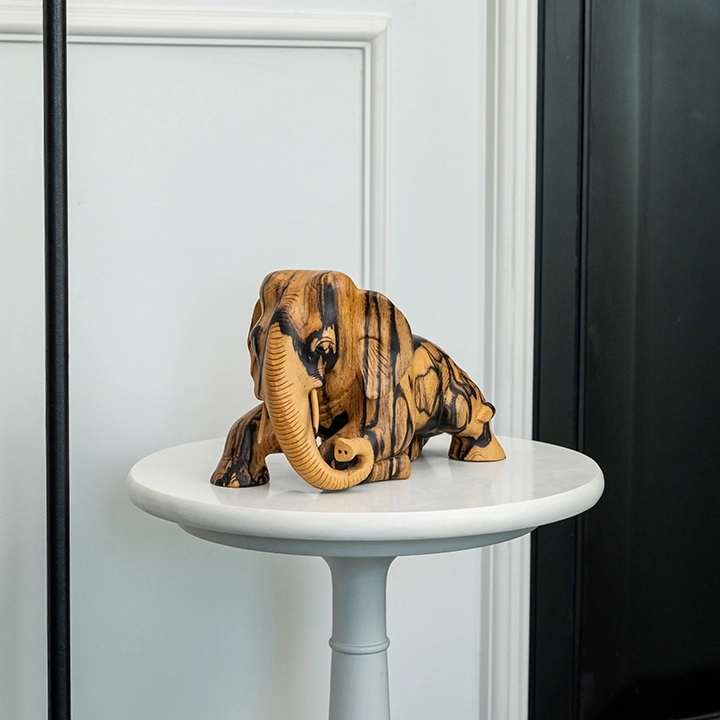 Picture in situ of the Reclining Elephant