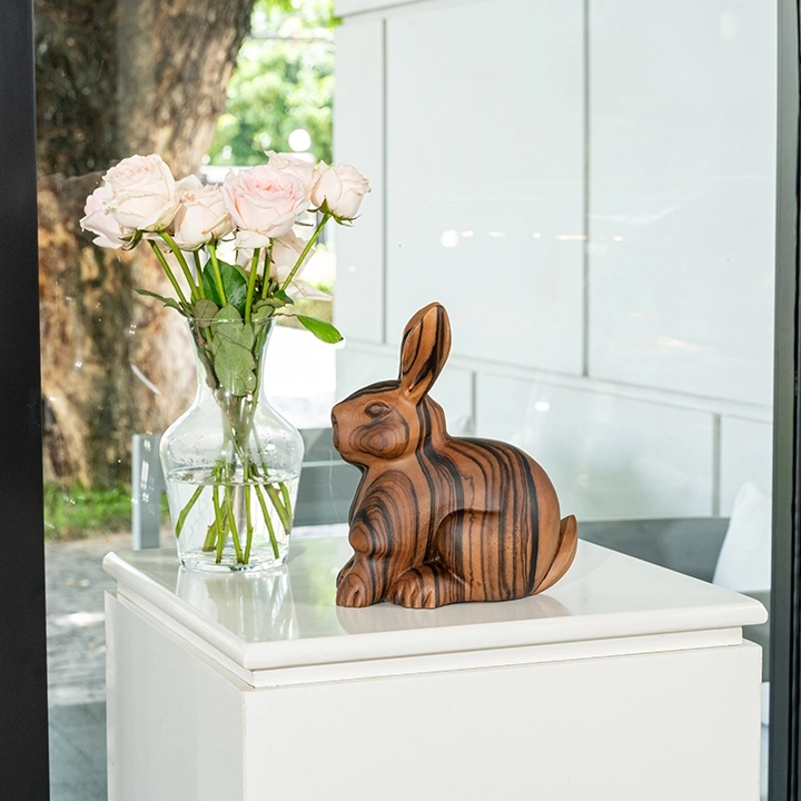 Picture in situ of the Rabbit