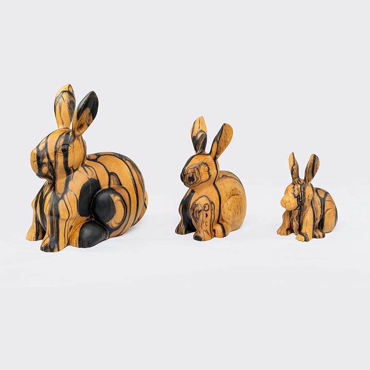 Studio picture of the  Rabbit set.3
