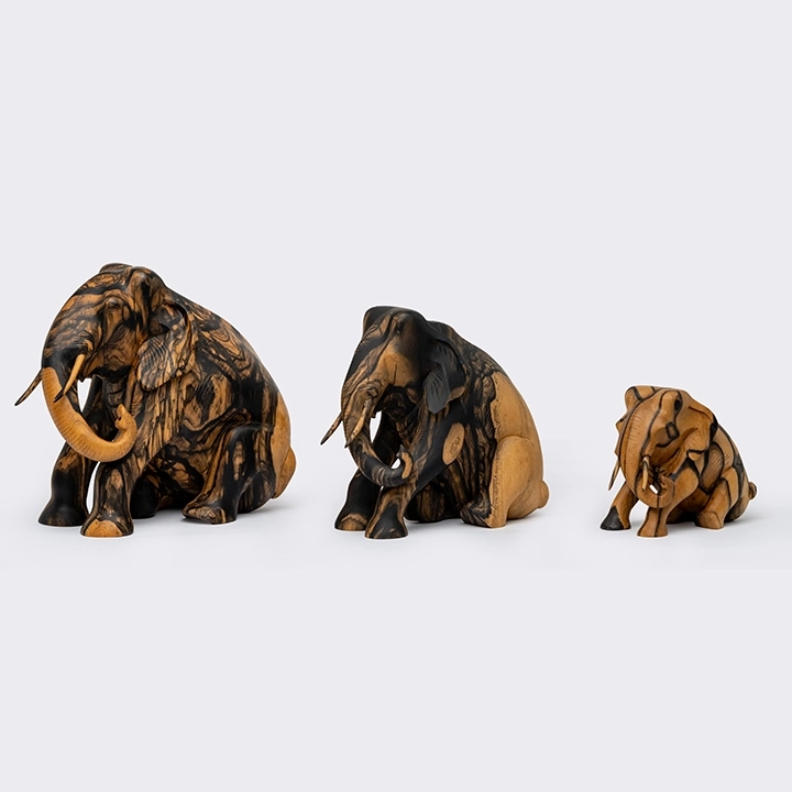 Studio shot featuring a set of Elephant sculpture