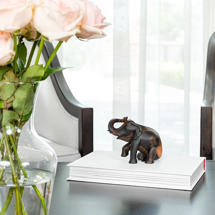 Studio shot of the Elephant sculpture