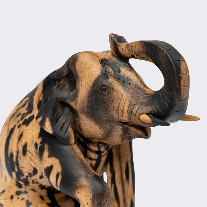 Studio shot of the Elephant sculpture