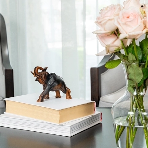 Image showcasing the elephant sculpture in use.