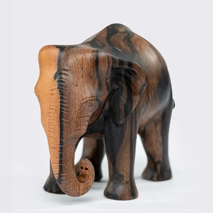 Studio picture of the walking baby elephant