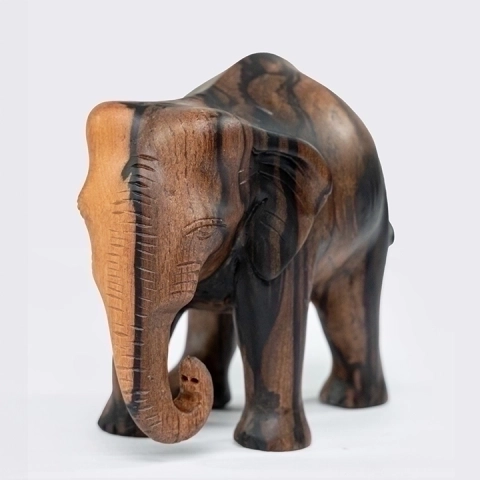 Detail picture of the walking baby elephant