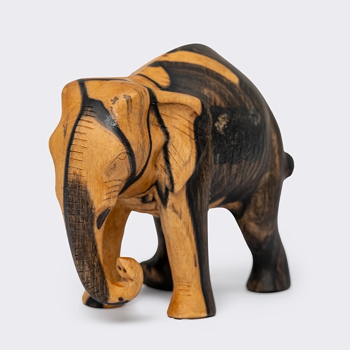 Studio picture of the walking baby elephant