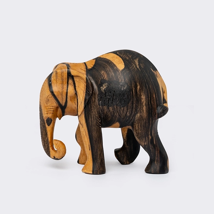 Studio picture of the walking baby elephant