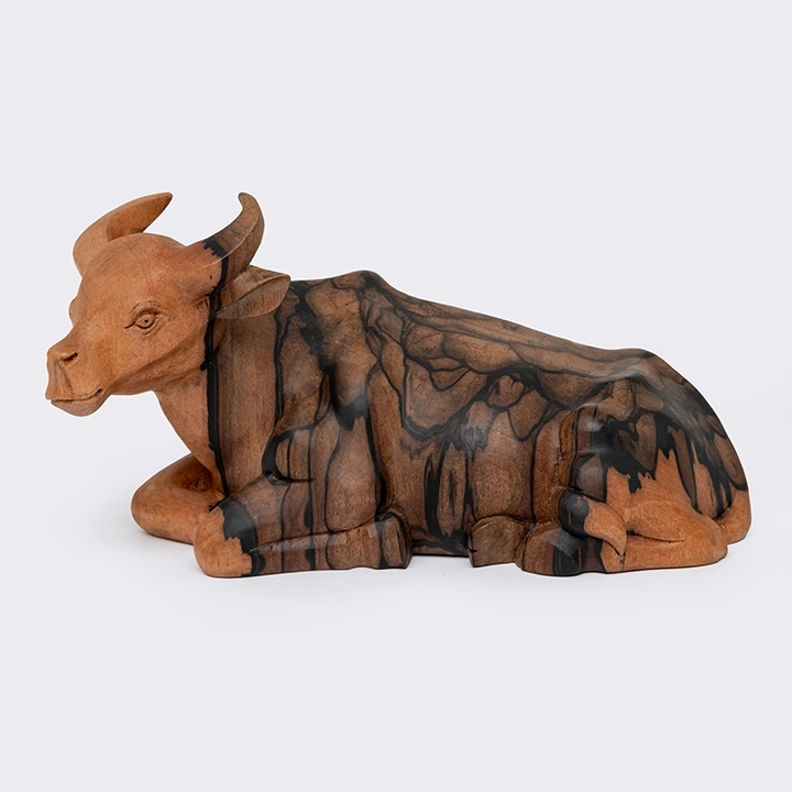 Studio picture of the Reclining Buffalo 