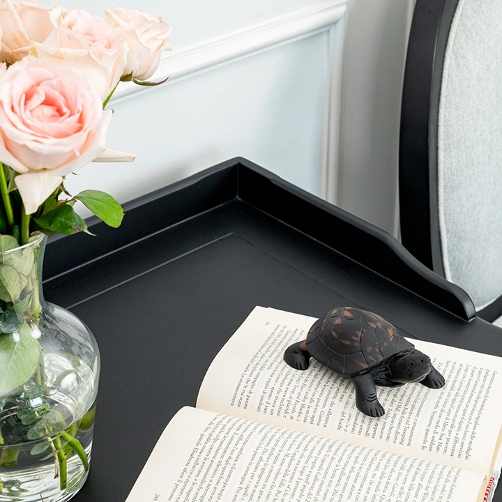 Studio picture of the Tortoise Head Up