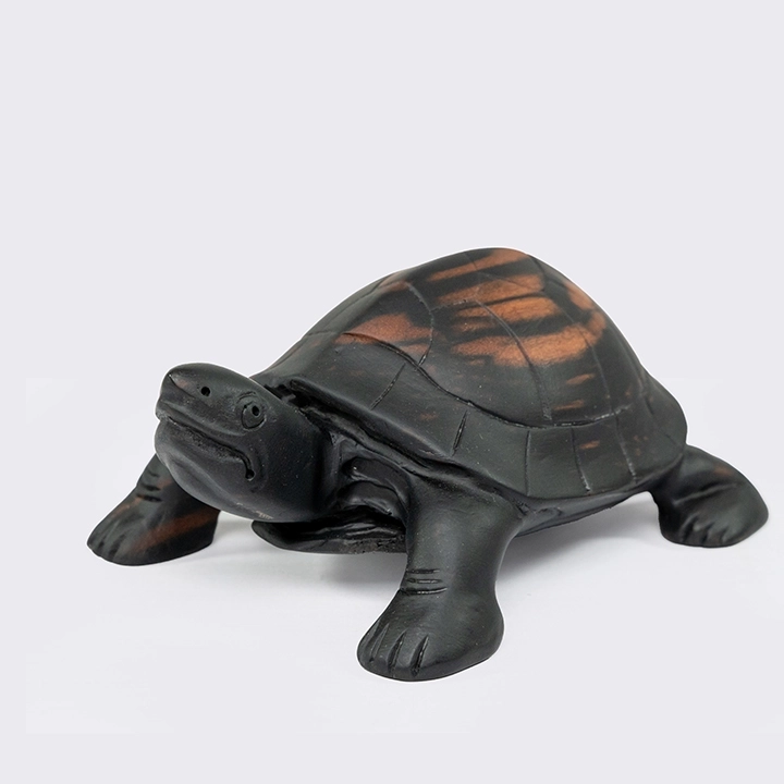 Detail picture of the Tortoise Head Up