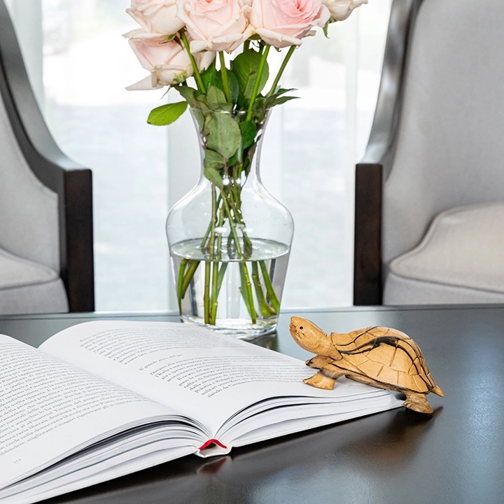 Studio picture of the Tortoise Head Up