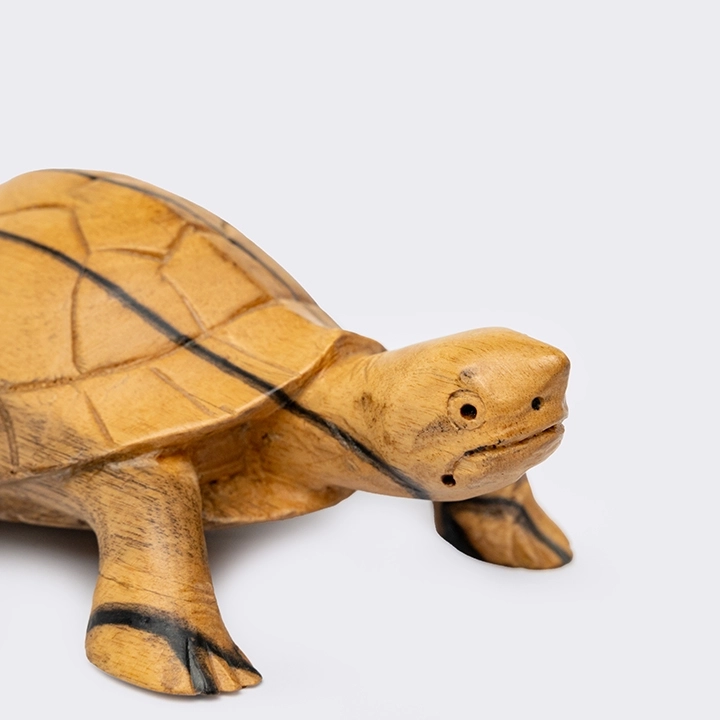 Detail picture of the Tortoise Head Up