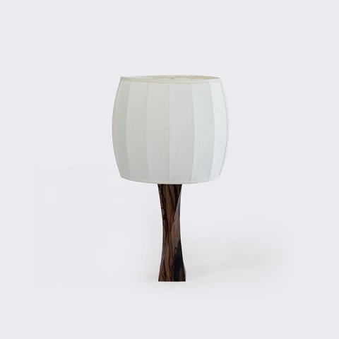 Studio picture of the table lampe